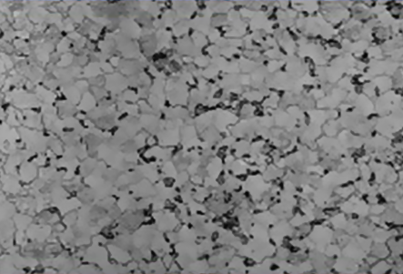 Replica Metalografica